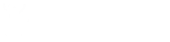 Rensdyr med lys